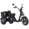 Mangosteen Tricycle Scooter électrique M2